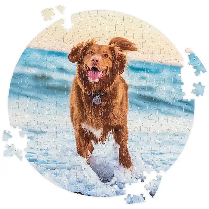 Custom Photo Round Shaped Puzzle Gifts 312 Pieces