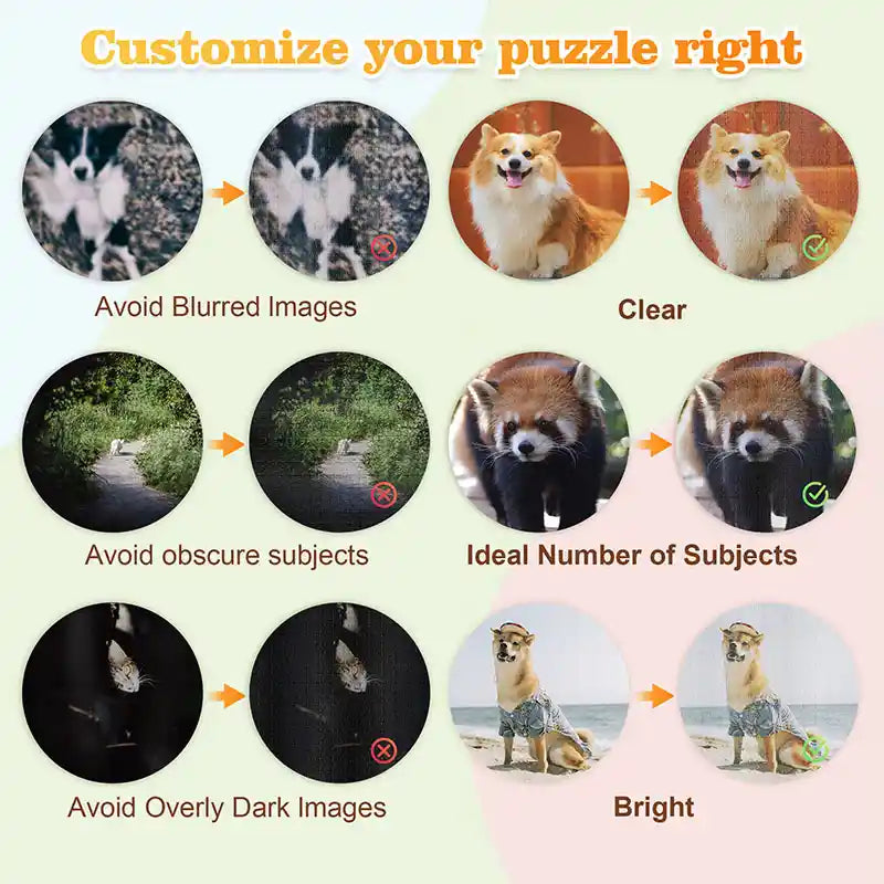 Custom Photo Round Shaped Puzzle Gifts 312 Pieces